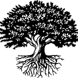 msapplication-TileImage
