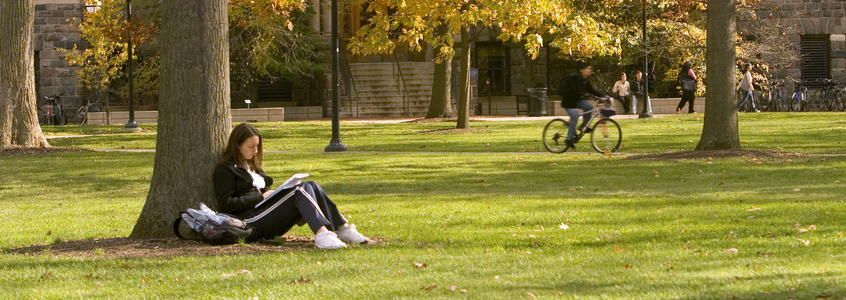 Clearinghouse Preliminary Fall Enrollment Trends